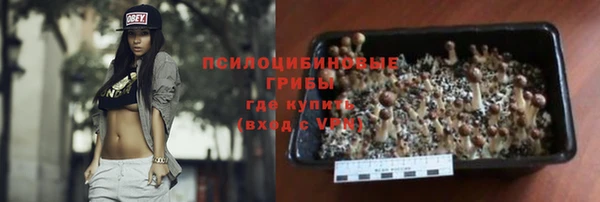 герыч Мегион