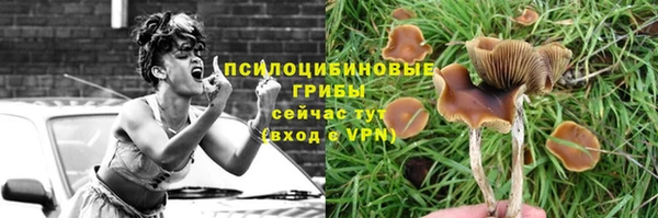 герыч Мегион