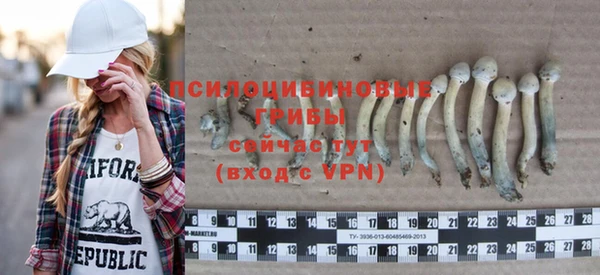 герыч Мегион