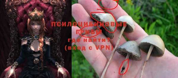 герыч Мегион